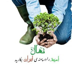 کاشت نهال امید در بوستان شهدای گمنام